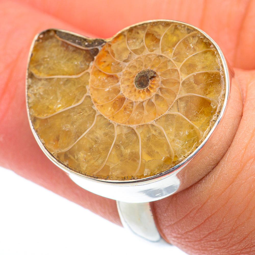 Ammonite Fossil Rings handcrafted by Anasilvercos - RING73790