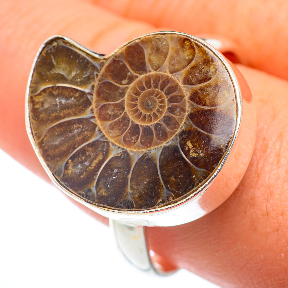 Ammonite Fossil Rings handcrafted by Anasilvercos - RING74112