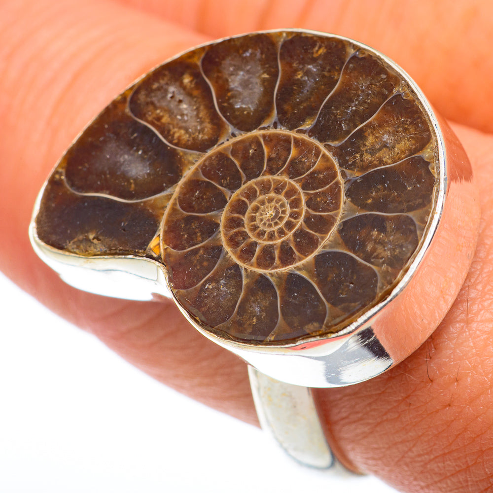 Ammonite Fossil Rings handcrafted by Anasilvercos - RING74380