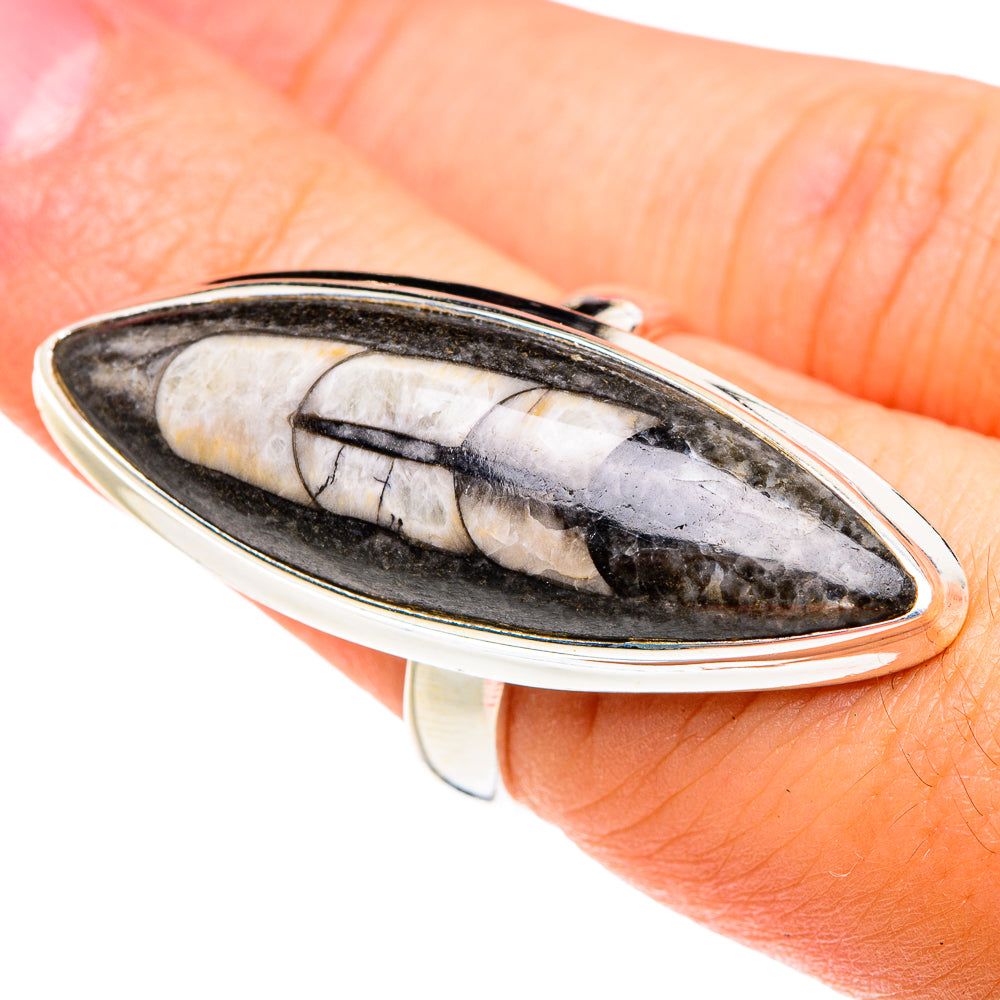 Orthoceras Fossil Rings handcrafted by Anasilvercos - RING76184