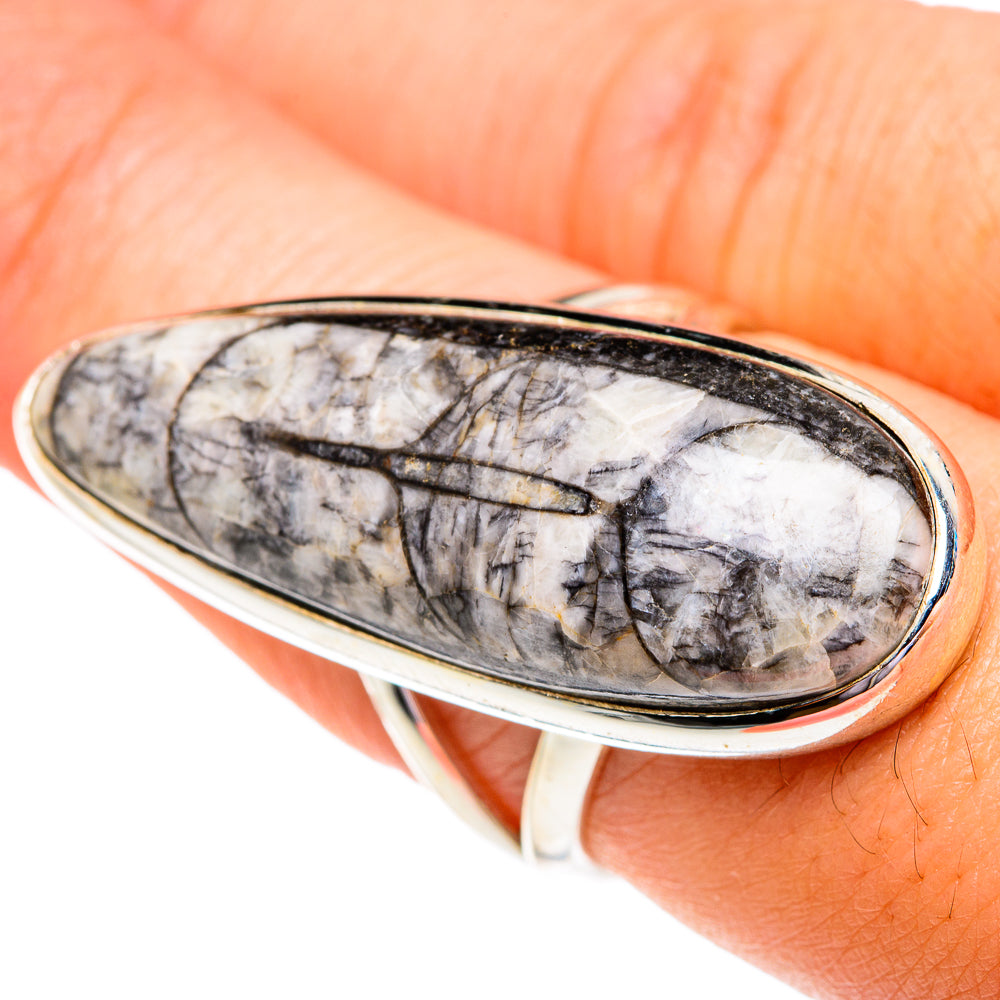 Orthoceras Fossil Rings handcrafted by Anasilvercos - RING77011