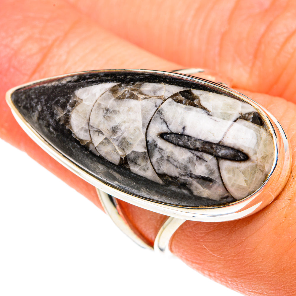Orthoceras Fossil Rings handcrafted by Anasilvercos - RING77351