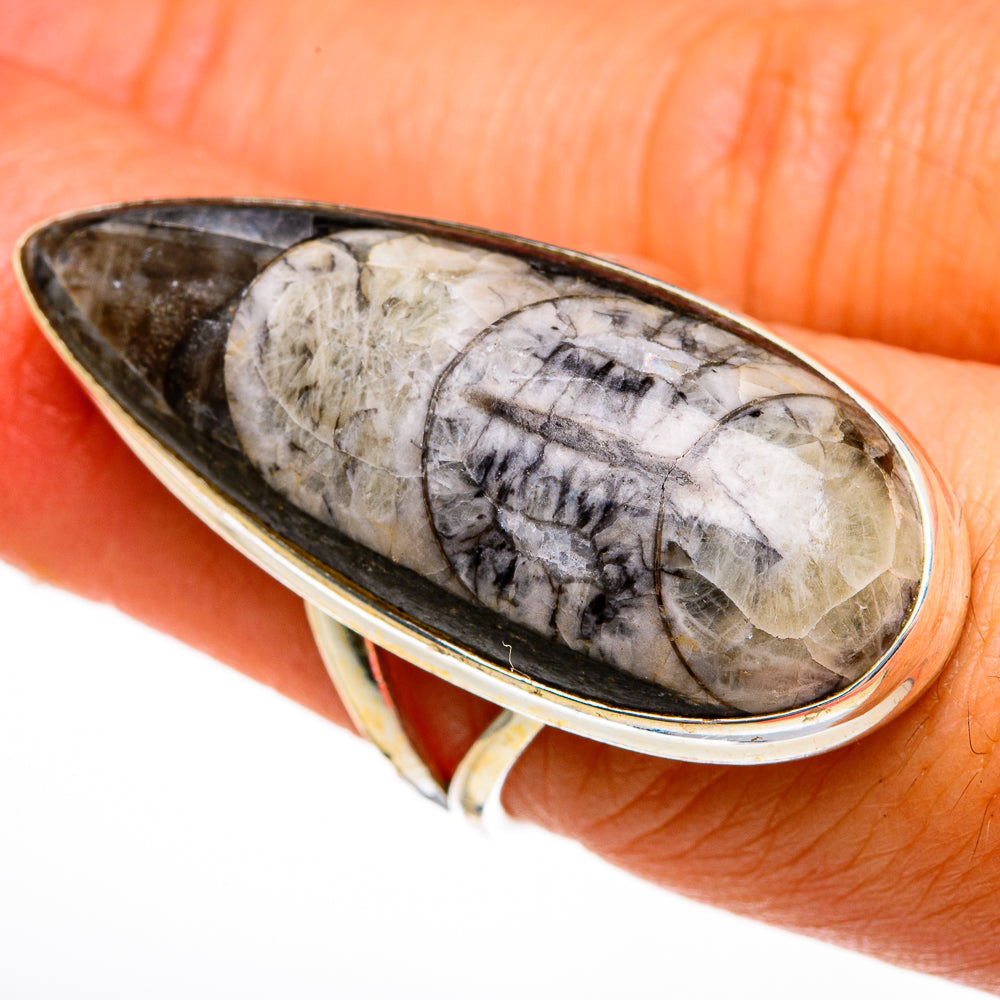 Orthoceras Fossil Rings handcrafted by Anasilvercos - RING78131