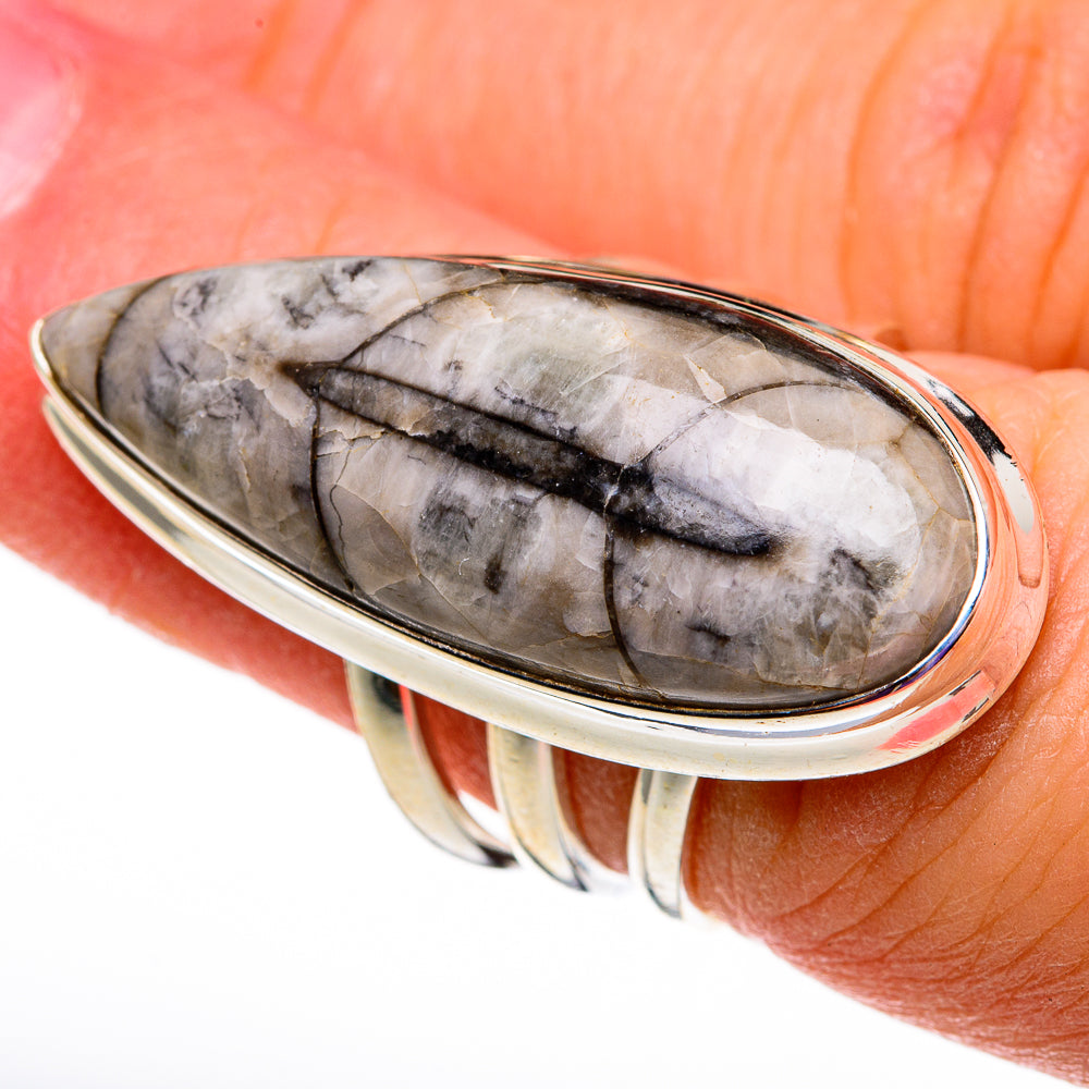 Orthoceras Fossil Rings handcrafted by Anasilvercos - RING78596
