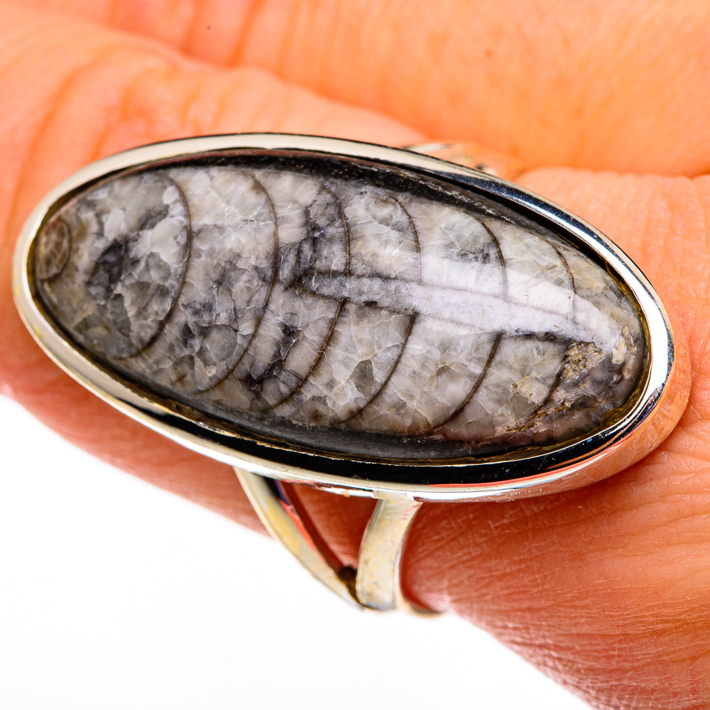 Orthoceras Fossil Rings handcrafted by Anasilvercos - RING78621