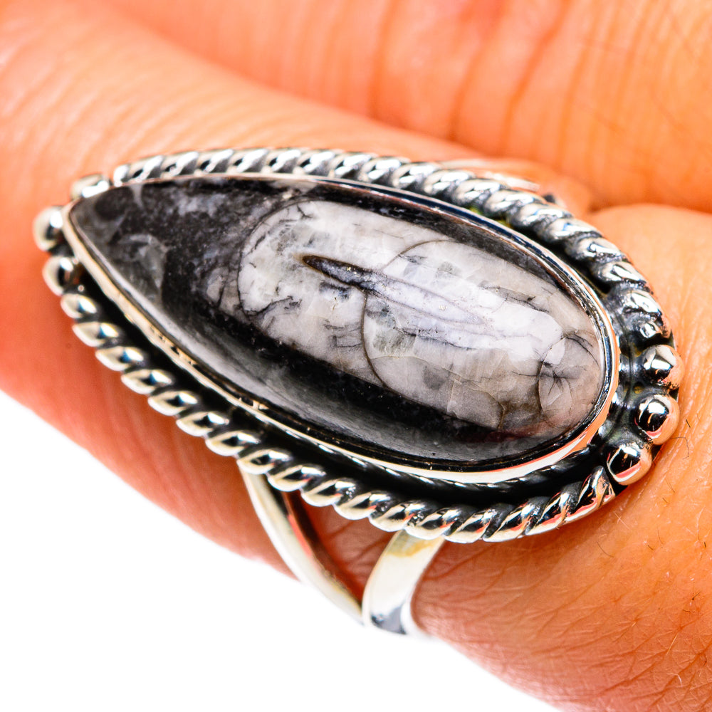 Orthoceras Fossil Rings handcrafted by Anasilvercos - RING79630