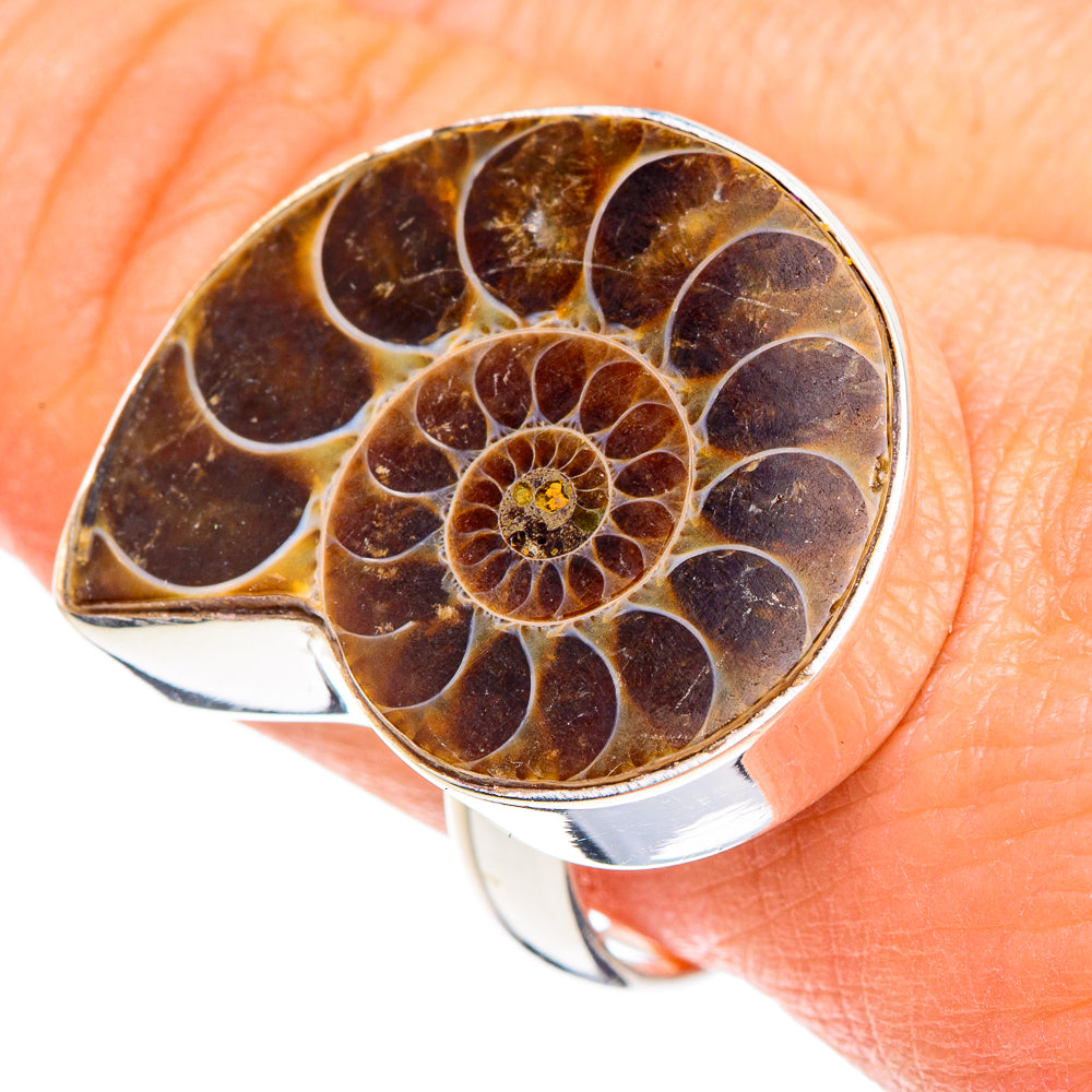 Ammonite Fossil Rings handcrafted by Anasilvercos - RING88395