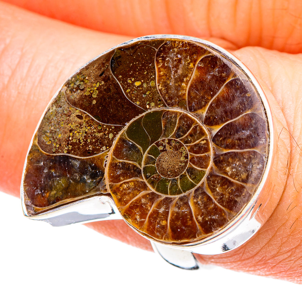 Ammonite Fossil Rings handcrafted by Anasilvercos - RING88798