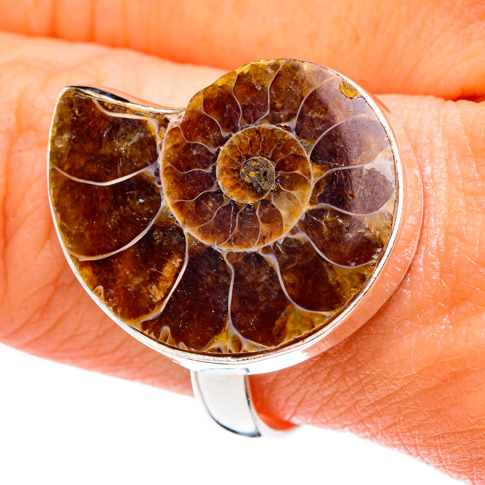 Ammonite Fossil Rings handcrafted by Anasilvercos - RING89077