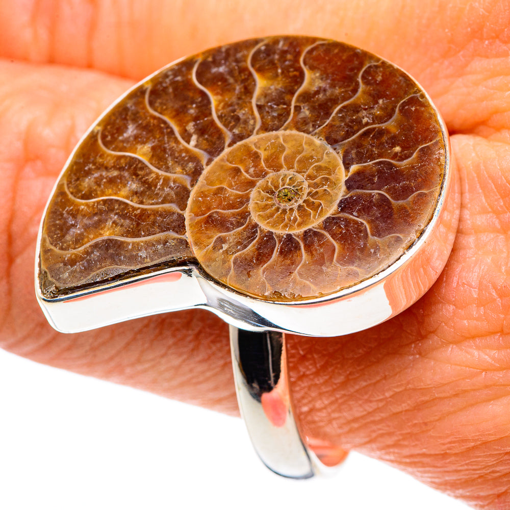 Ammonite Fossil Rings handcrafted by Anasilvercos - RING89337