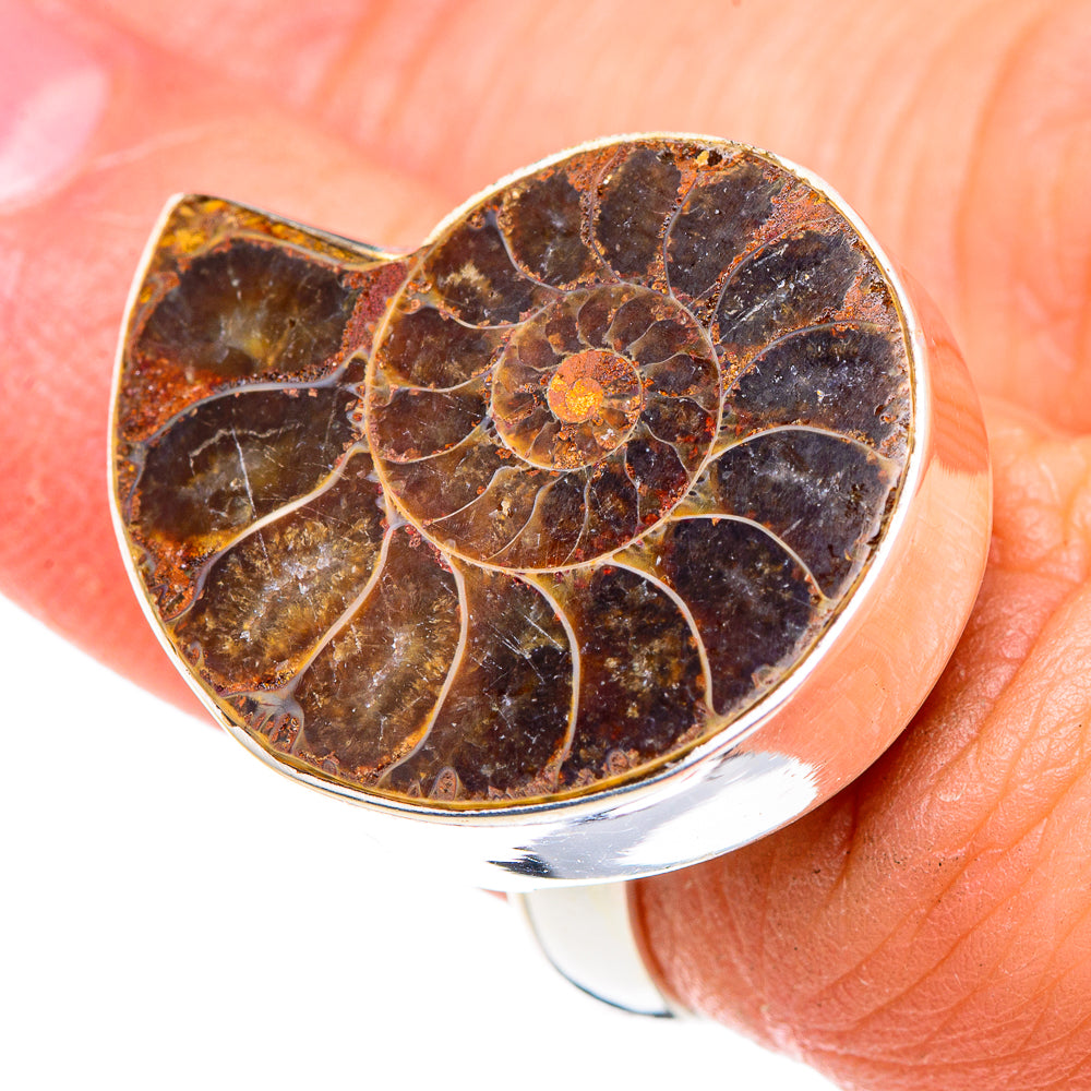 Ammonite Fossil Rings handcrafted by Anasilvercos - RING89618