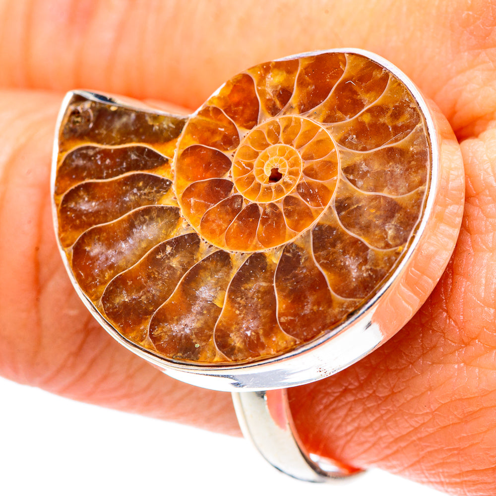 Ammonite Fossil Rings handcrafted by Anasilvercos - RING89653