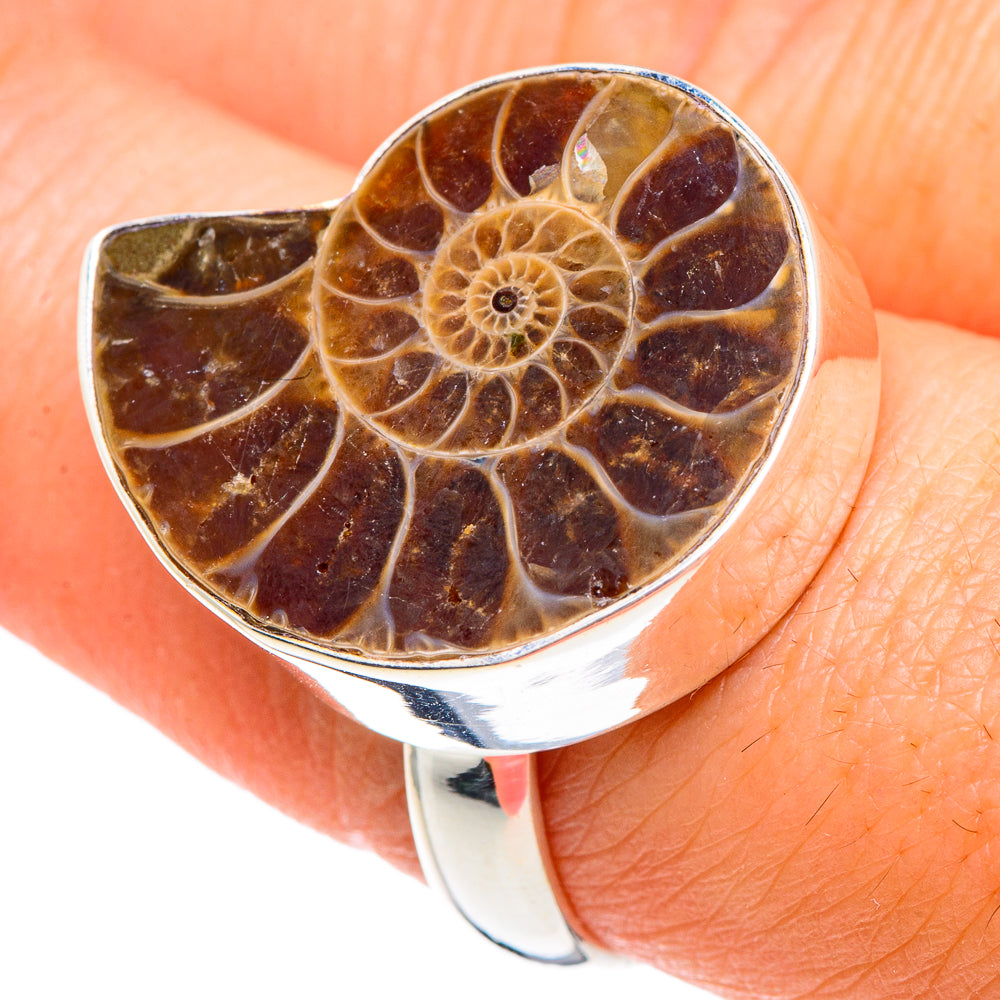 Ammonite Fossil Rings handcrafted by Anasilvercos - RING89685