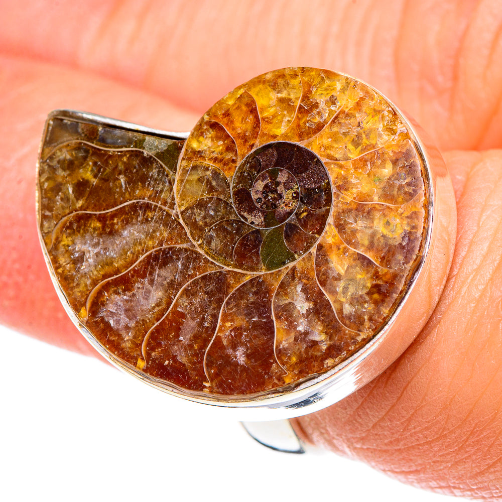 Ammonite Fossil Rings handcrafted by Anasilvercos - RING90249