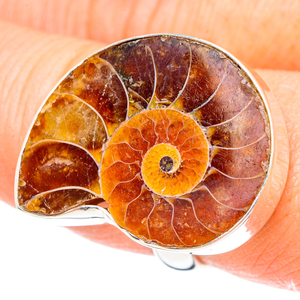Ammonite Fossil Rings handcrafted by Anasilvercos - RING90866
