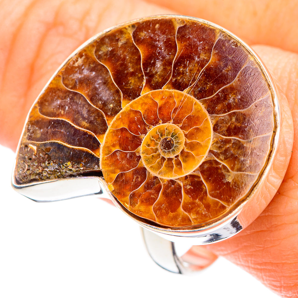 Ammonite Fossil Rings handcrafted by Anasilvercos - RING90929