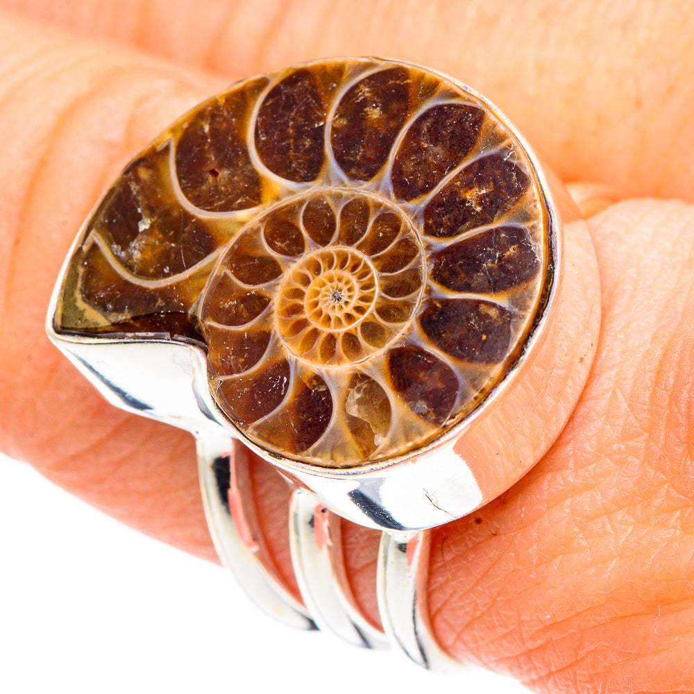 Ammonite Fossil Rings handcrafted by Anasilvercos - RING91172