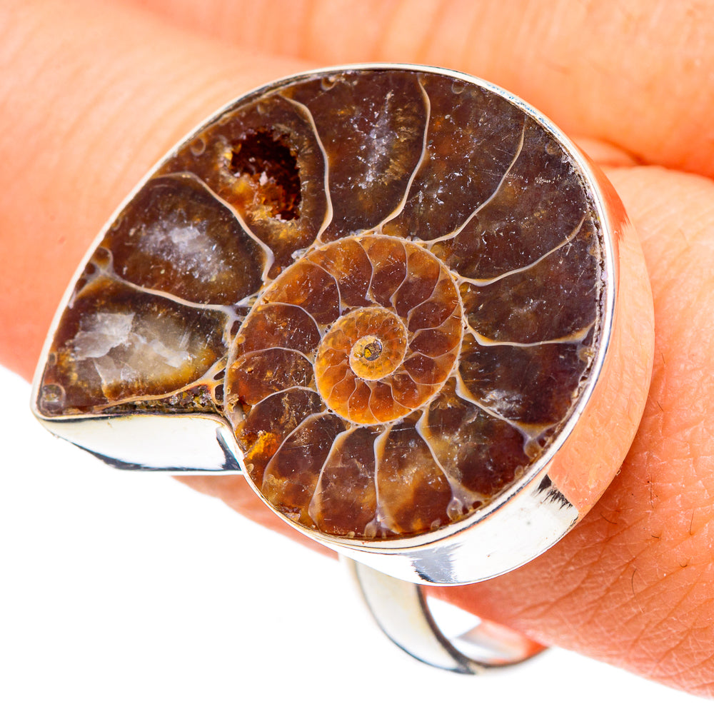 Ammonite Fossil Rings handcrafted by Anasilvercos - RING91261
