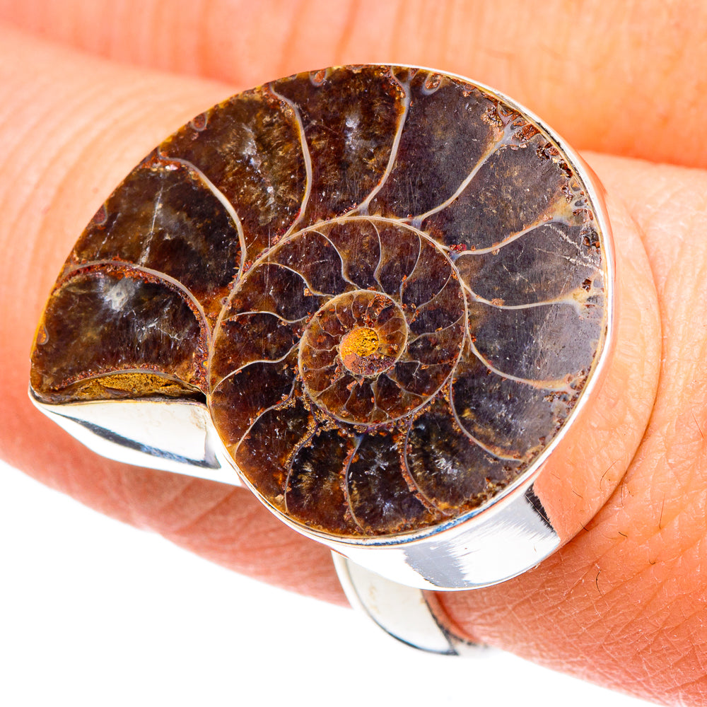 Ammonite Fossil Rings handcrafted by Anasilvercos - RING91587