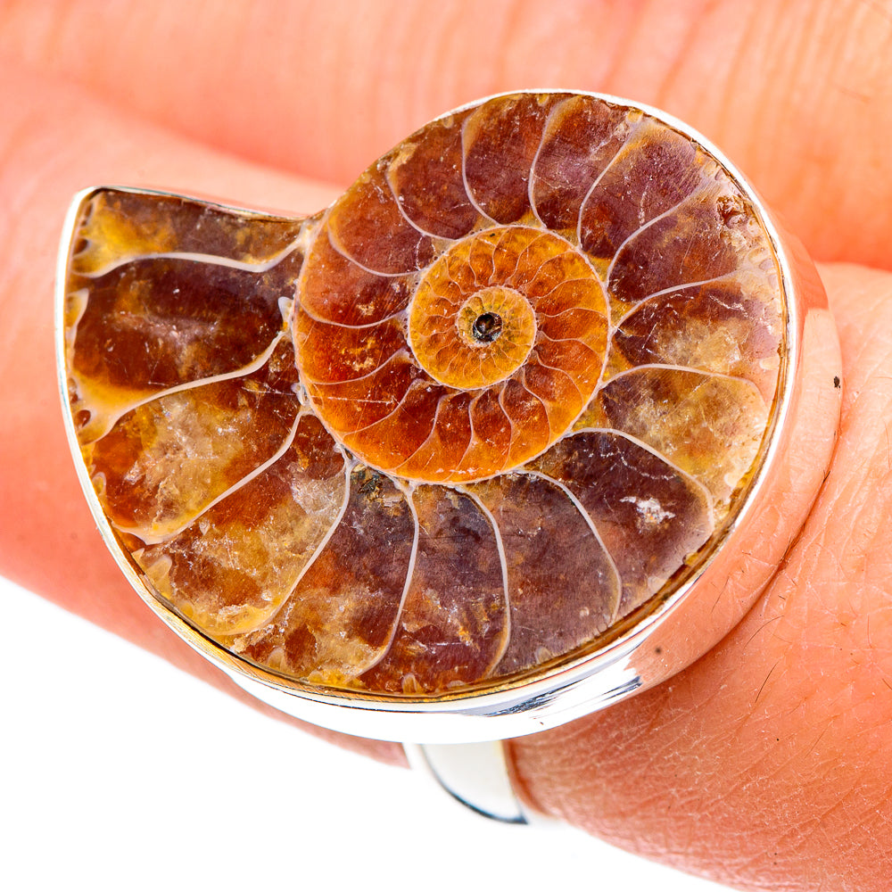 Ammonite Fossil Rings handcrafted by Anasilvercos - RING91593