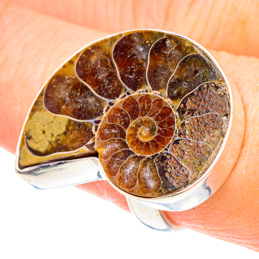 Ammonite Fossil Rings handcrafted by Anasilvercos - RING91665