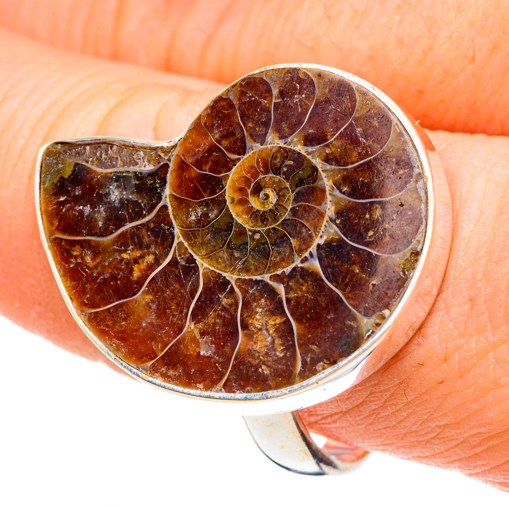 Ammonite Fossil Rings handcrafted by Anasilvercos - RING91697