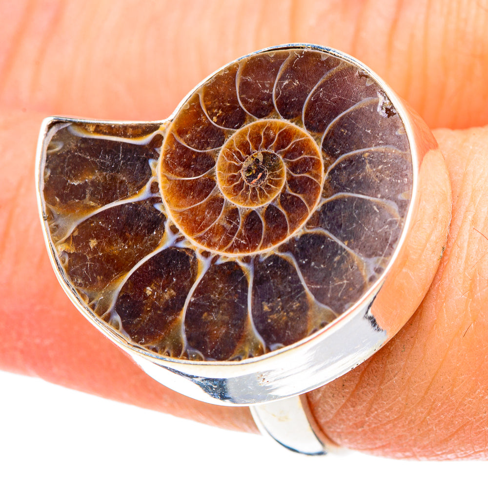 Ammonite Fossil Rings handcrafted by Anasilvercos - RING91772