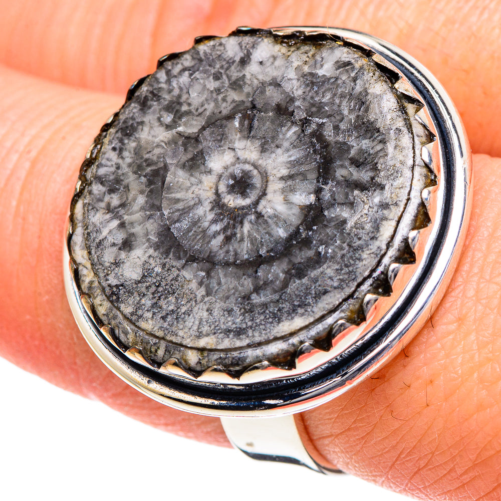 Goniatite Fossil Rings handcrafted by Anasilvercos - RING95061