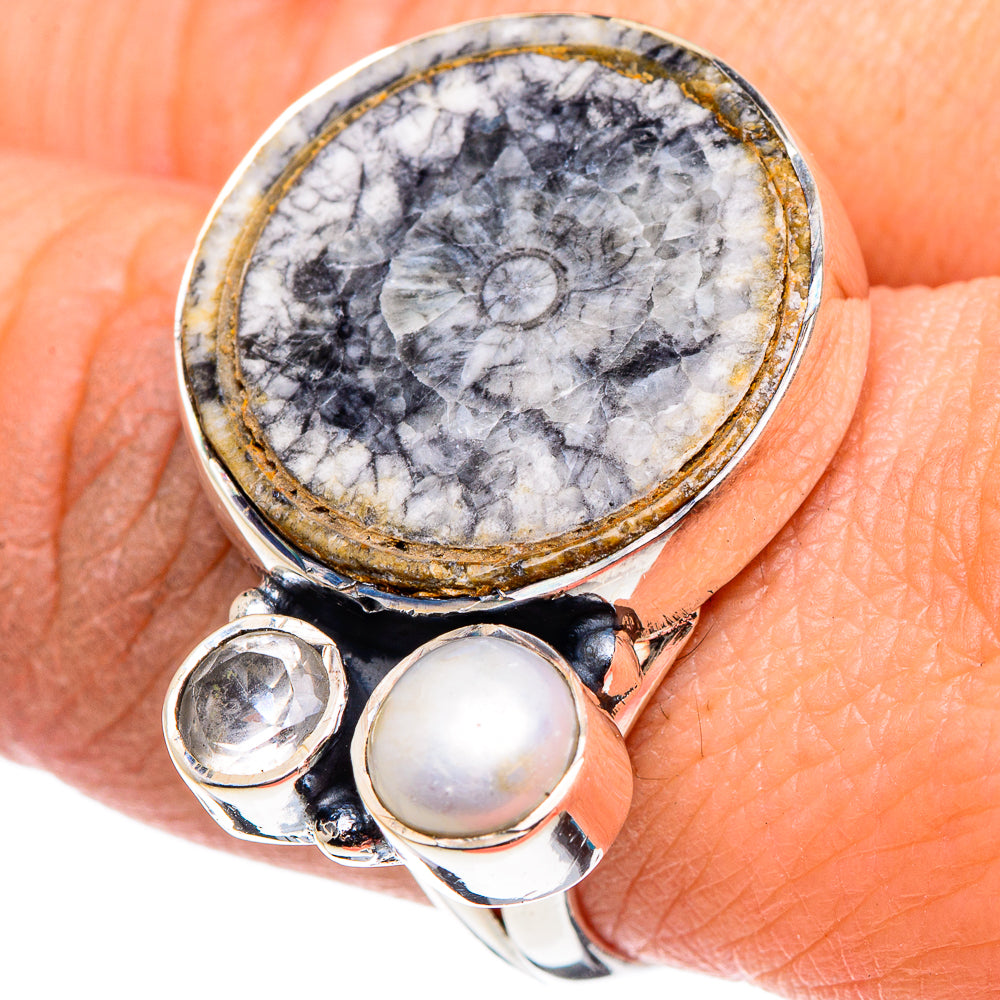 Goniatite Fossil Rings handcrafted by Anasilvercos - RING95726