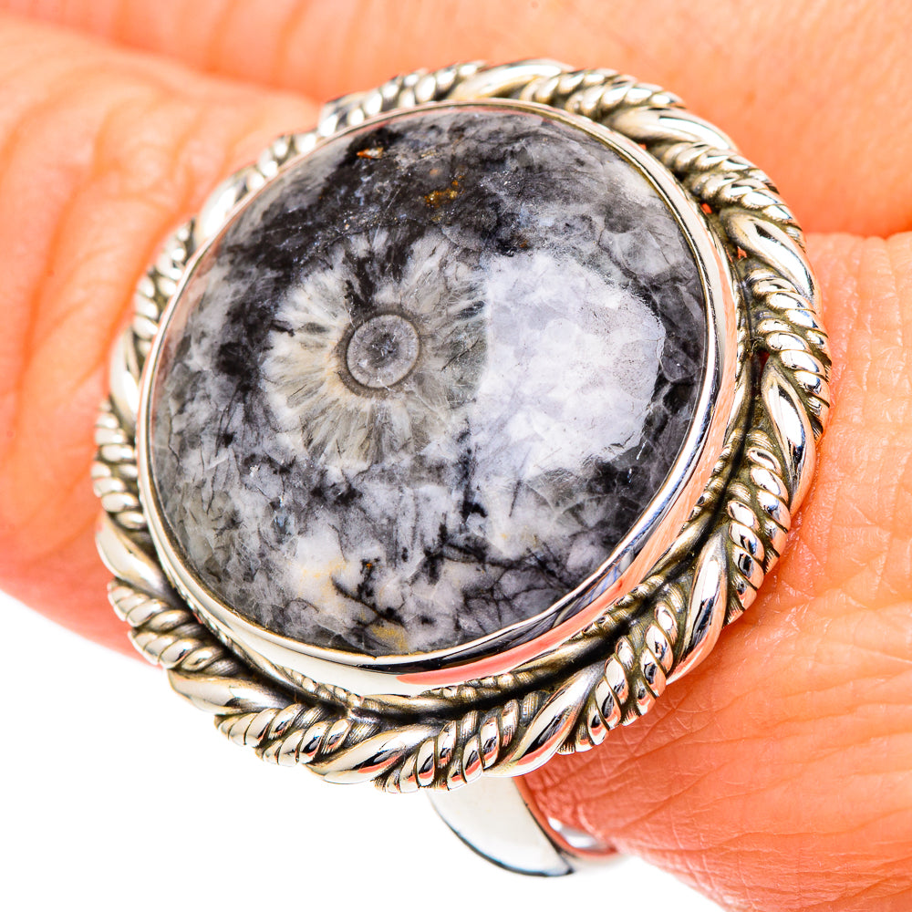 Moroccan Goniatite Fossil Rings handcrafted by Anasilvercos - RING96599