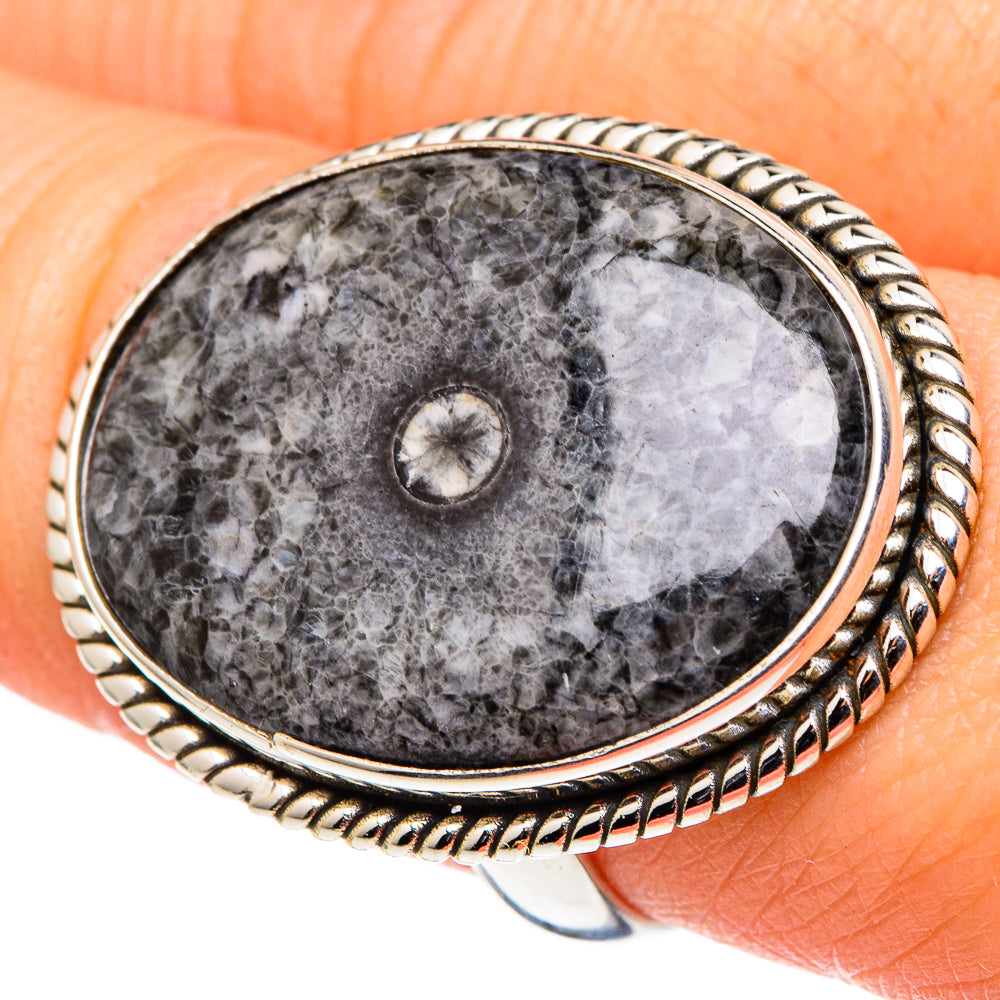 Moroccan Goniatite Fossil Rings handcrafted by Anasilvercos - RING96956