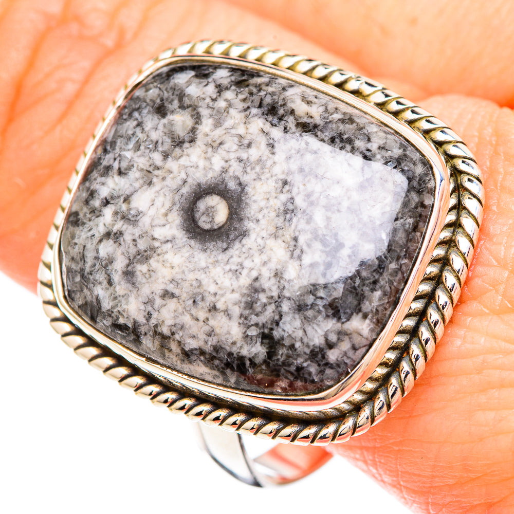 Moroccan Goniatite Fossil Rings handcrafted by Anasilvercos - RING99455