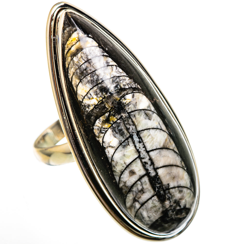 Orthoceras Fossil Rings handcrafted by Anasilvercos - RING101830 - Photo 2