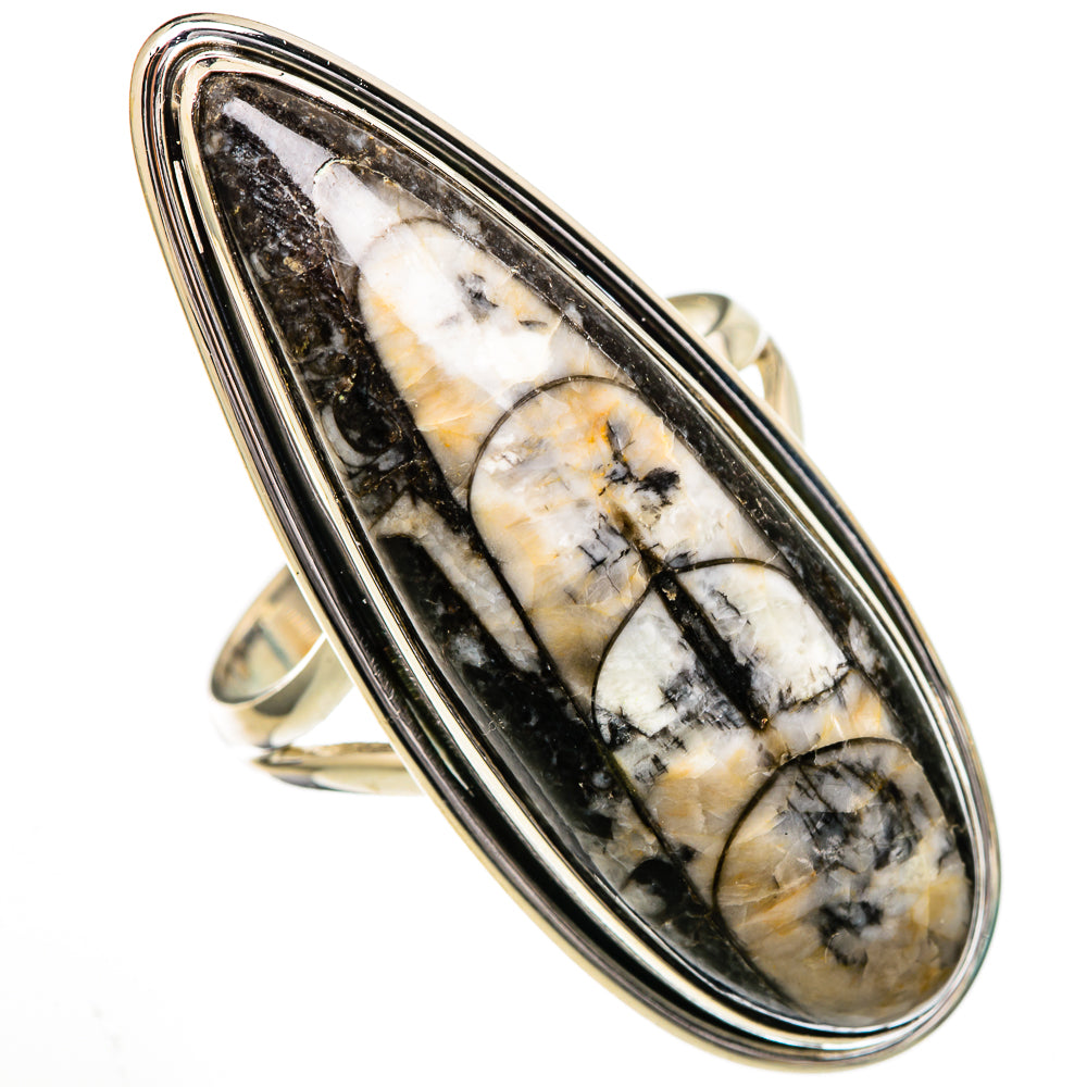 Orthoceras Fossil Rings handcrafted by Anasilvercos - RING102127 - Photo 2