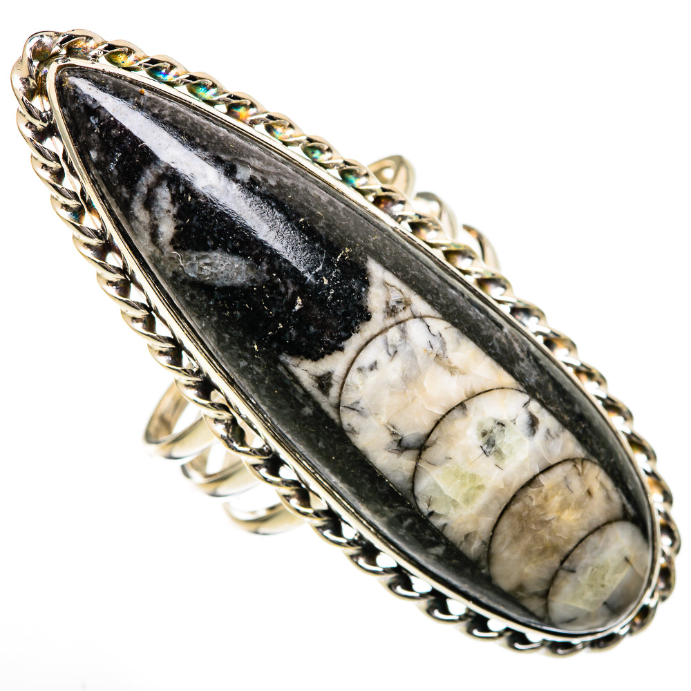 Orthoceras Fossil Rings handcrafted by Anasilvercos - RING102128 - Photo 2