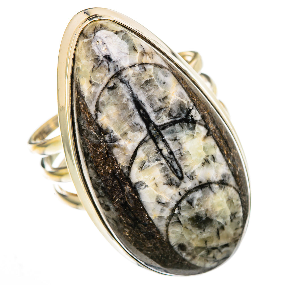 Orthoceras Fossil Rings handcrafted by Anasilvercos - RING102165