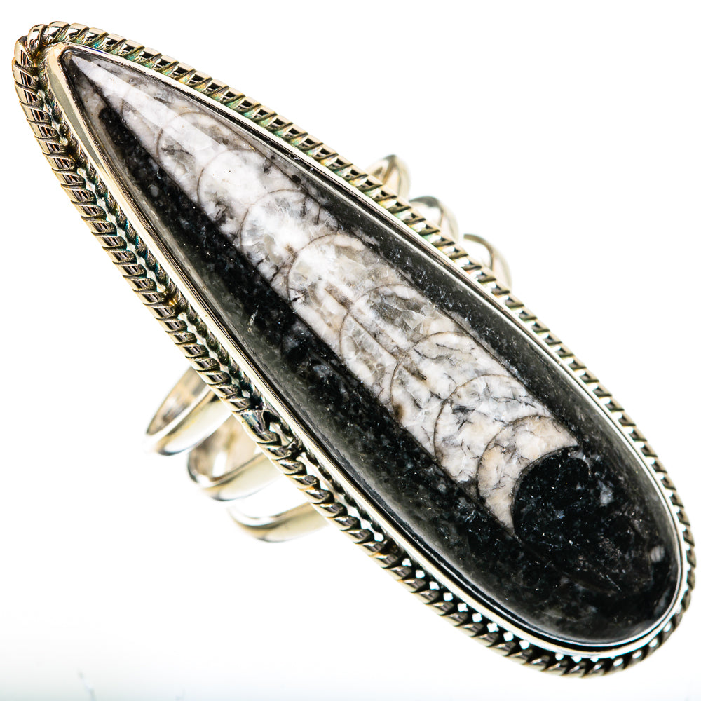 Orthoceras Fossil Rings handcrafted by Anasilvercos - RING102204 - Photo 2