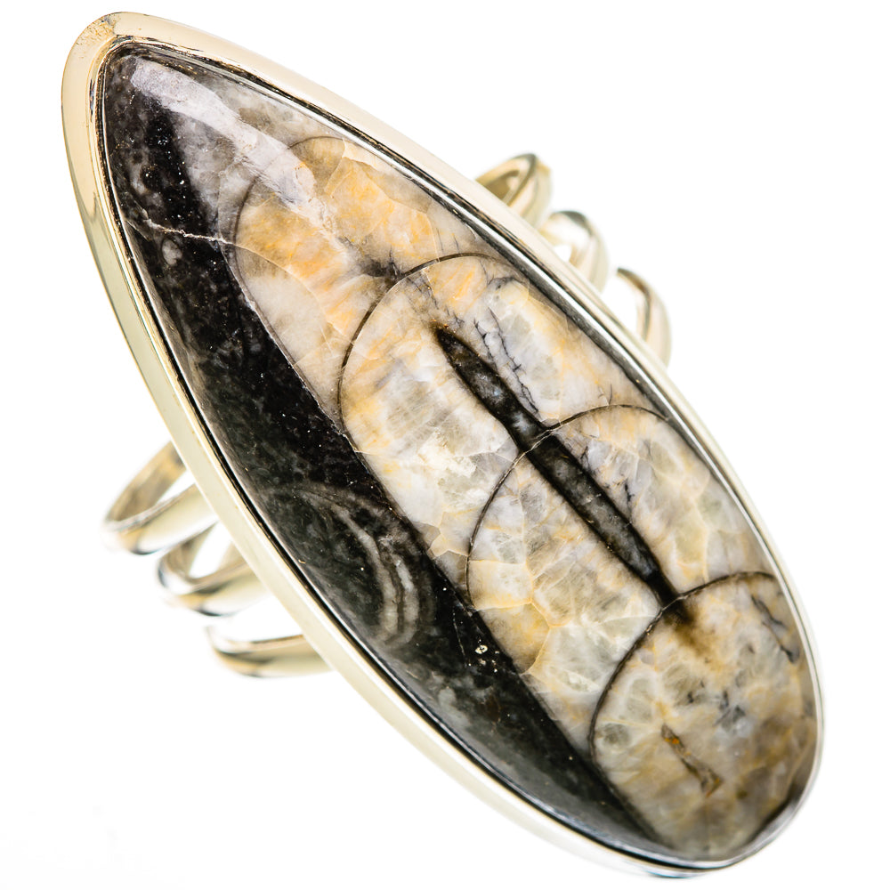 Orthoceras Fossil Rings handcrafted by Anasilvercos - RING102206 - Photo 2