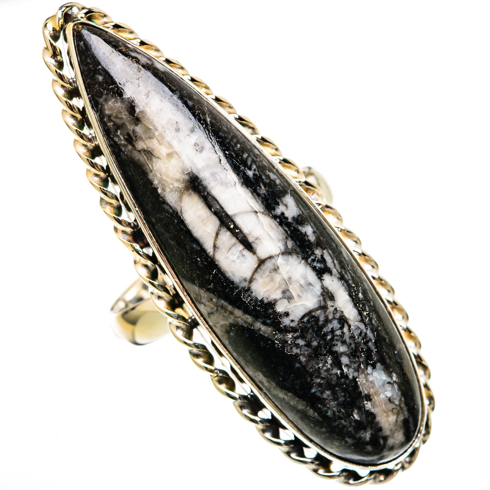 Orthoceras Fossil Rings handcrafted by Anasilvercos - RING102796
