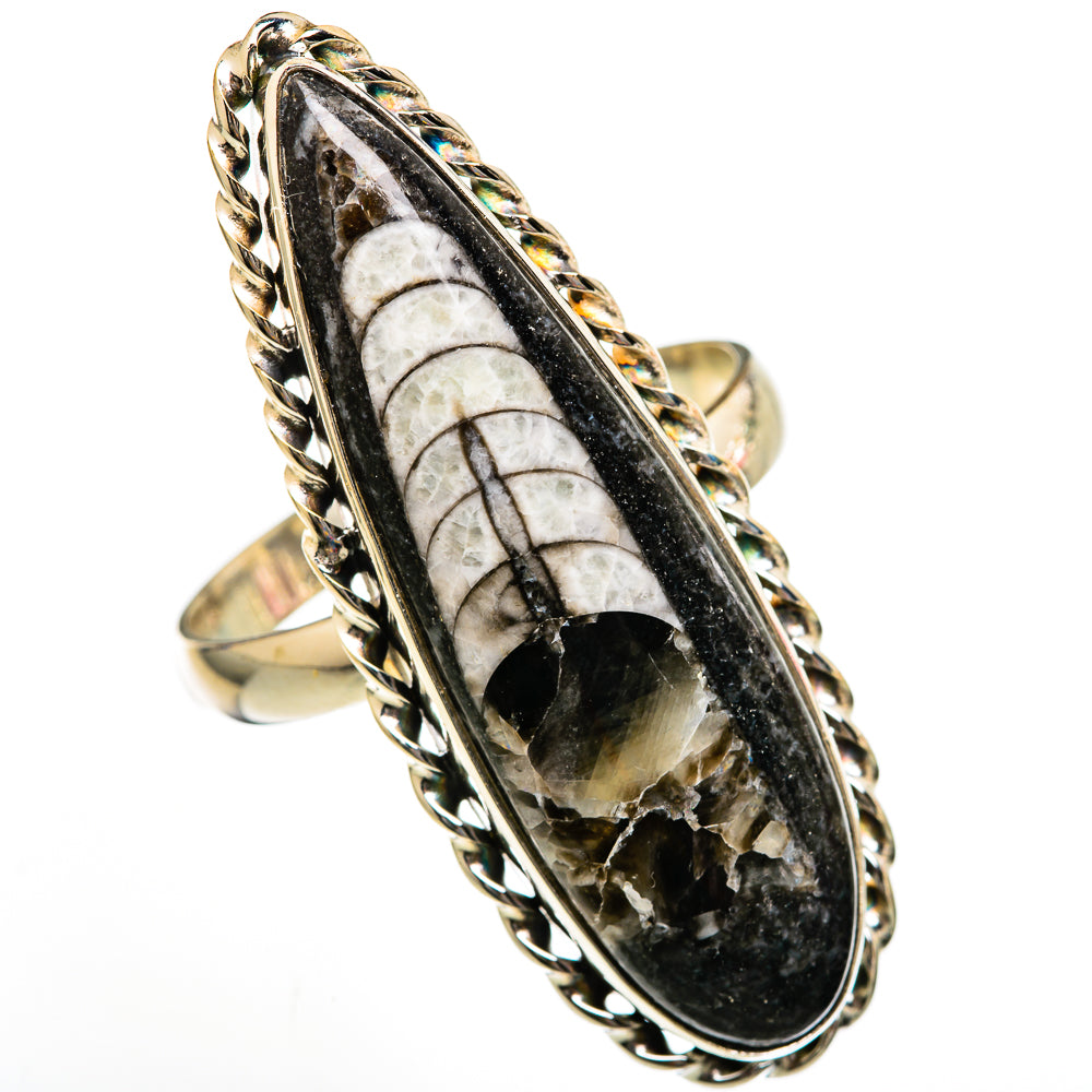 Orthoceras Fossil Rings handcrafted by Anasilvercos - RING102988