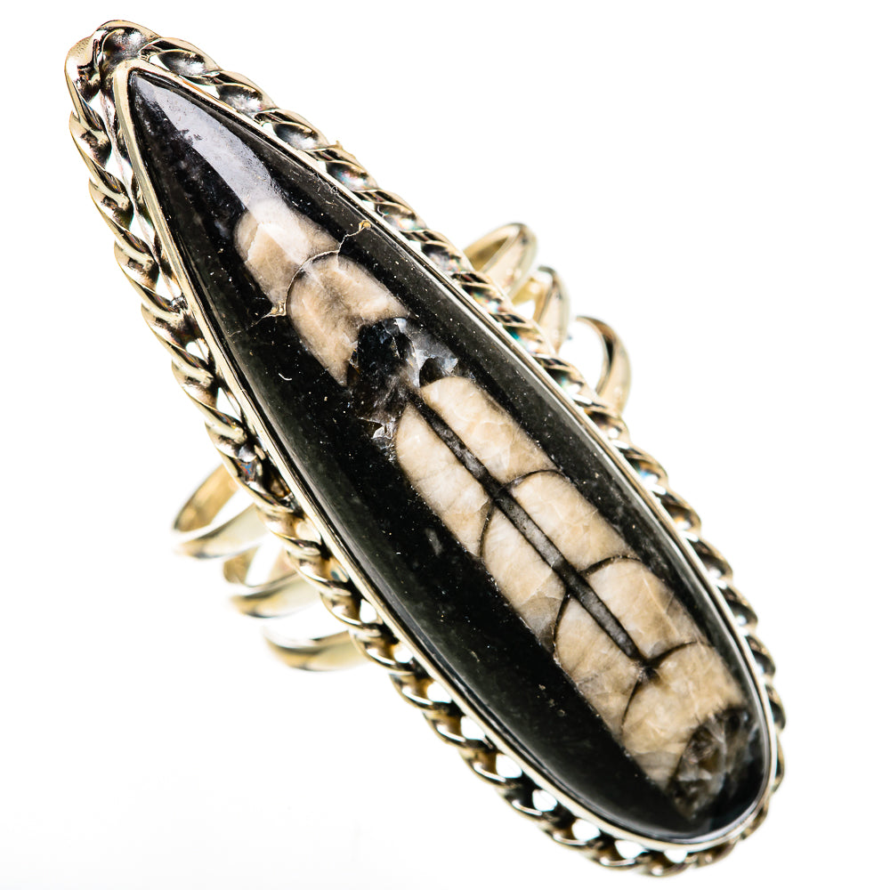 Orthoceras Fossil Rings handcrafted by Anasilvercos - RING103088 - Photo 2