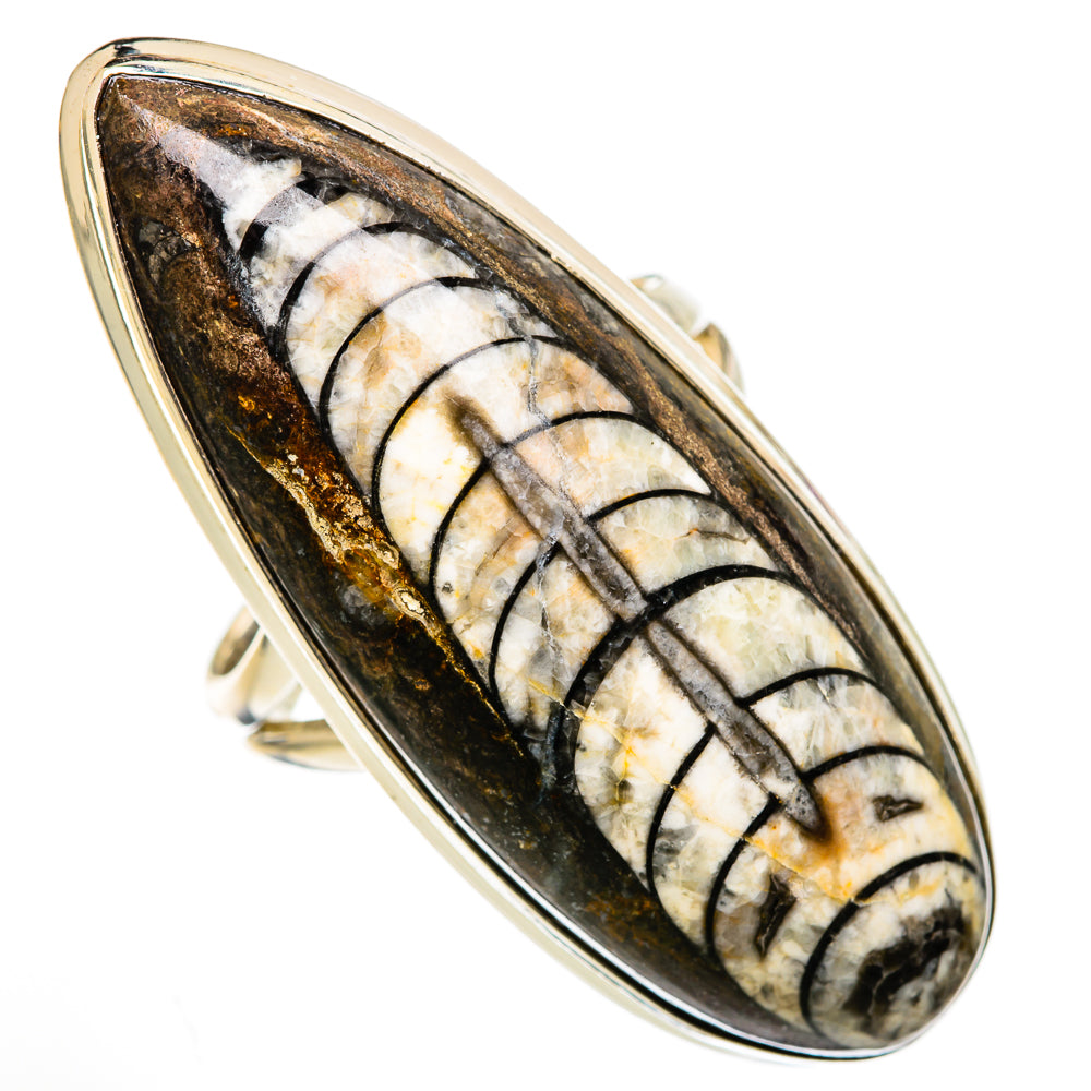 Orthoceras Fossil Rings handcrafted by Anasilvercos - RING103375 - Photo 2