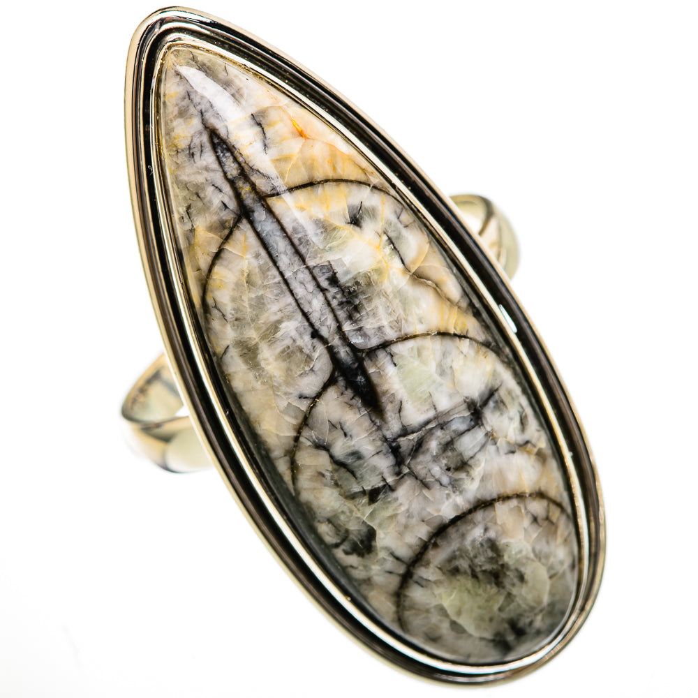 Orthoceras Fossil Rings handcrafted by Anasilvercos - RING103421 - Photo 2