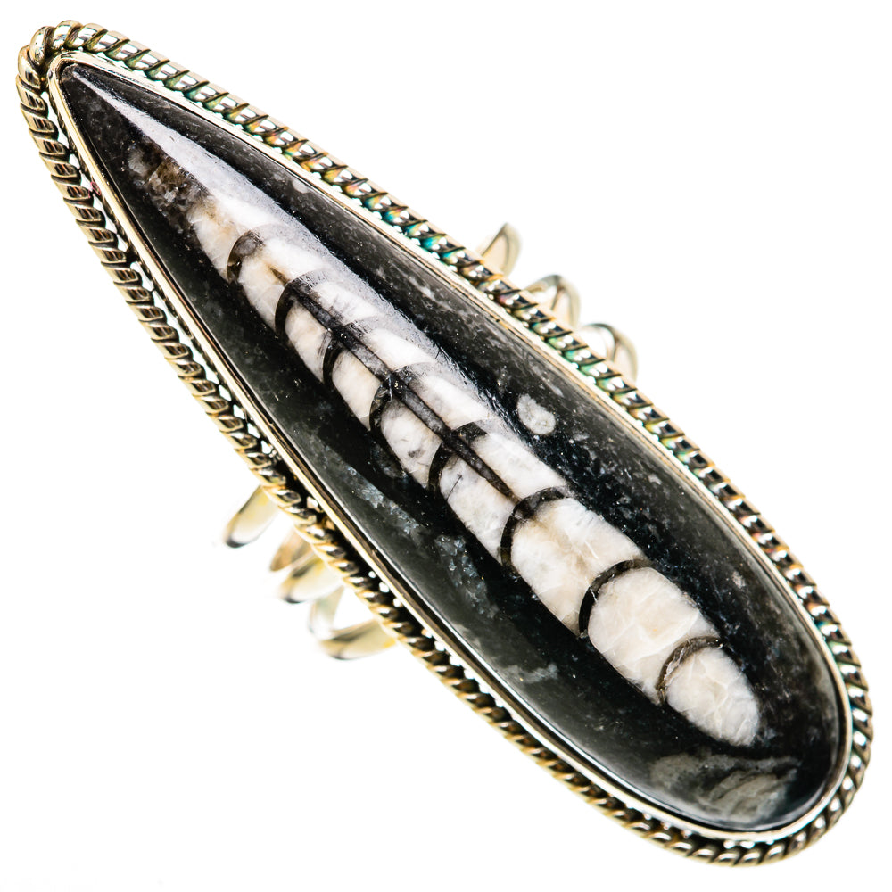 Orthoceras Fossil Rings handcrafted by Anasilvercos - RING103423