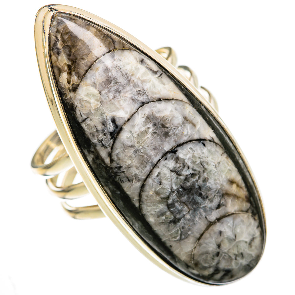 Orthoceras Fossil Rings handcrafted by Anasilvercos - RING103458 - Photo 2