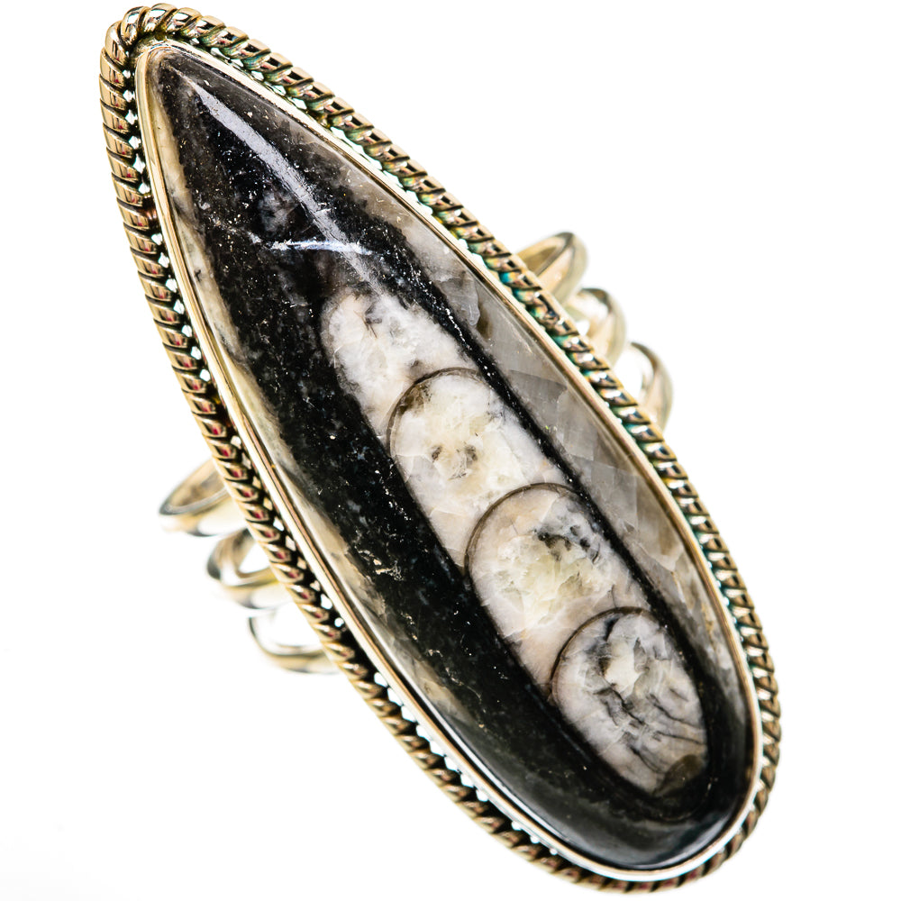 Orthoceras Fossil Rings handcrafted by Anasilvercos - RING103883 - Photo 2