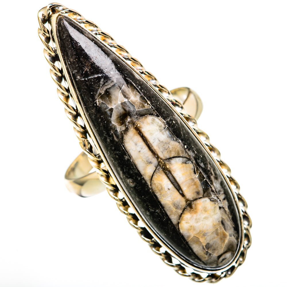 Orthoceras Fossil Rings handcrafted by Anasilvercos - RING103959 - Photo 2