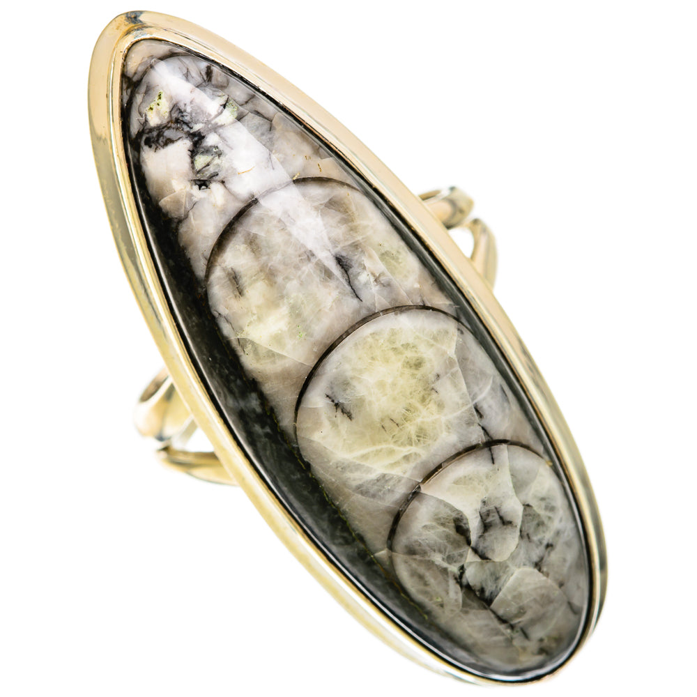 Orthoceras Fossil Rings handcrafted by Anasilvercos - RING104043 - Photo 2