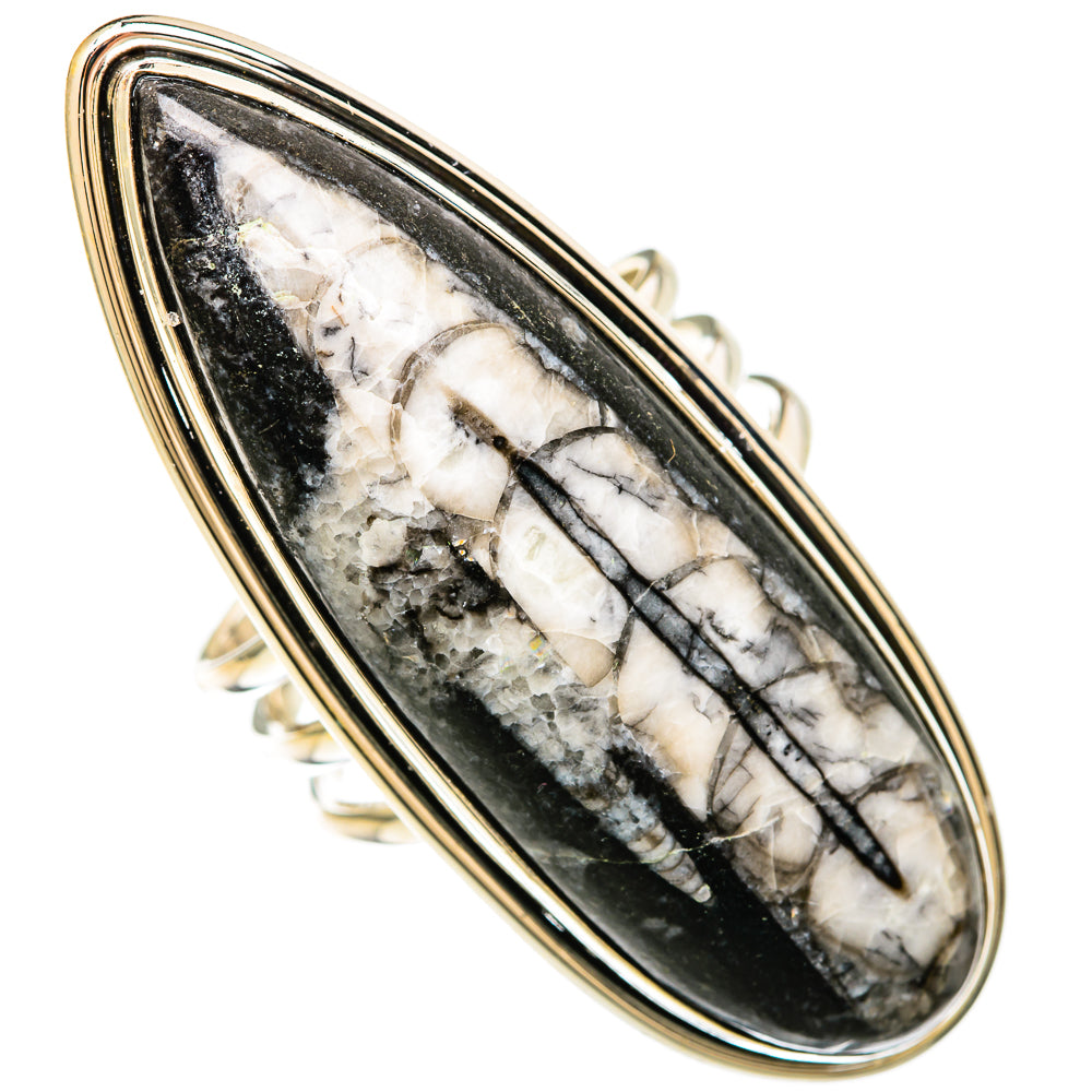 Orthoceras Fossil Rings handcrafted by Anasilvercos - RING104059 - Photo 2