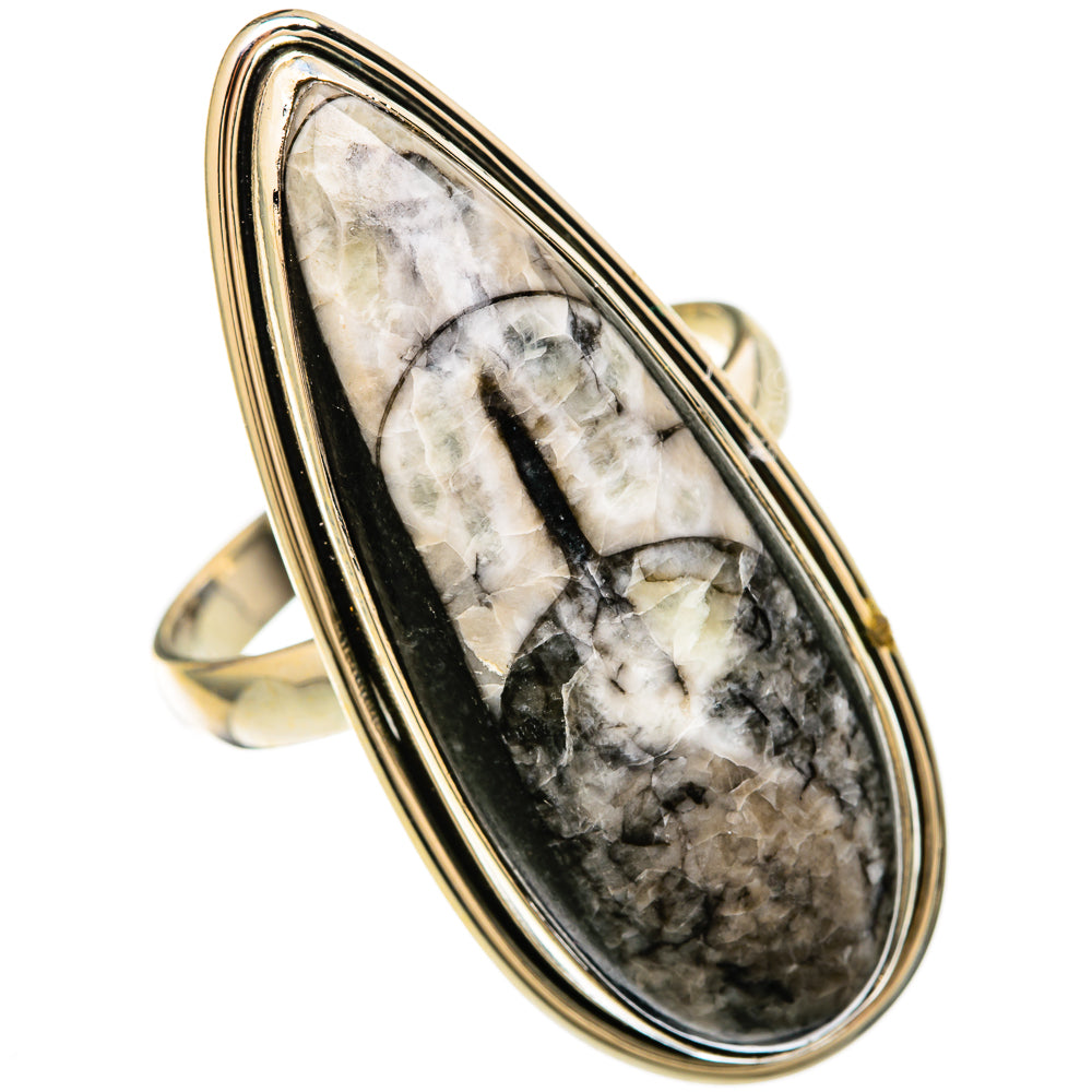 Orthoceras Fossil Rings handcrafted by Anasilvercos - RING104076
